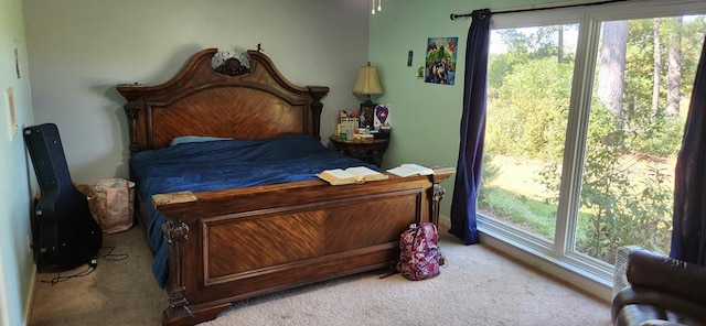 bedroom with carpet floors