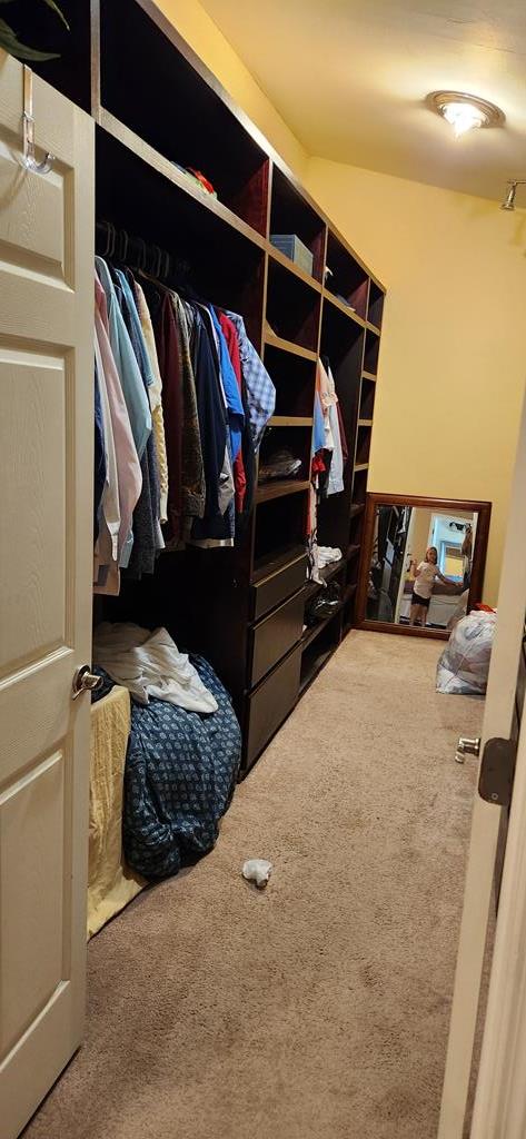 walk in closet featuring carpet