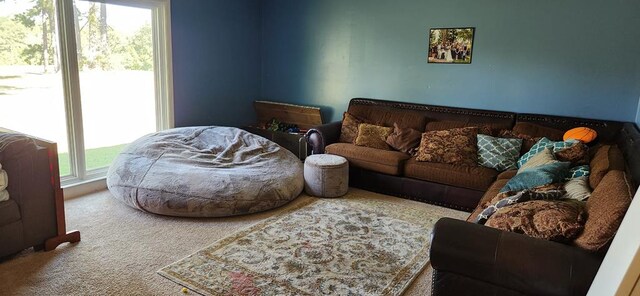 living room with carpet floors