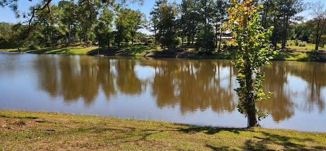 view of water feature