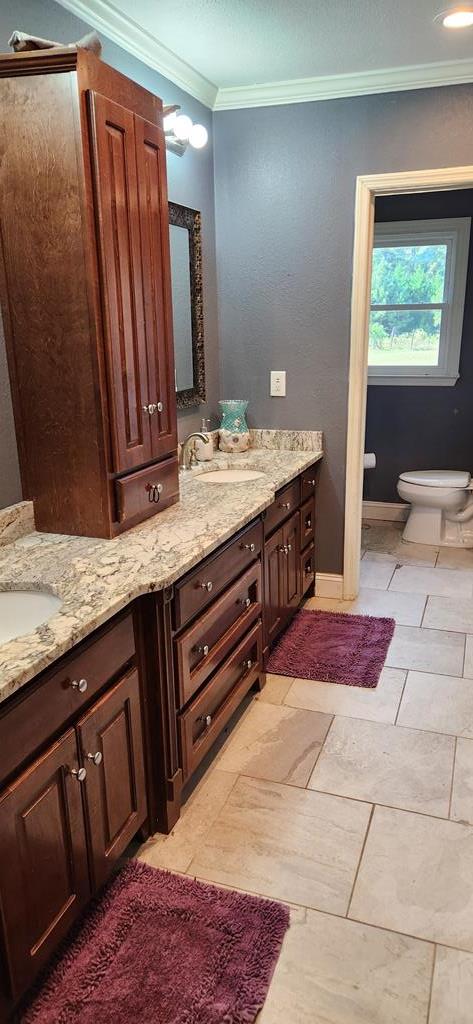 bathroom with toilet, vanity, and ornamental molding