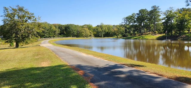 property view of water