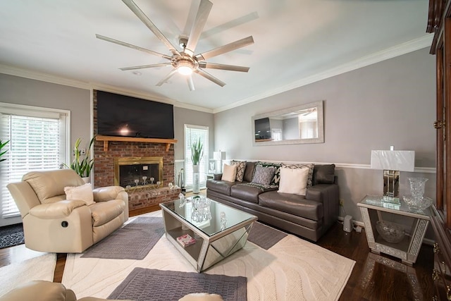 living room with a fireplace, hardwood / wood-style floors, ceiling fan, and crown molding