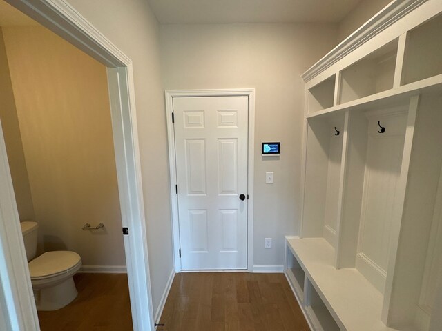 mudroom with dark wood-type flooring