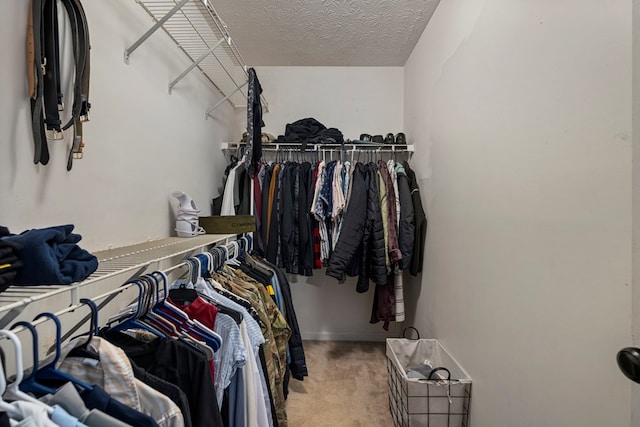 701 Crestline Dr, Columbus, GA 31907 - spacious closet featuring carpet floors