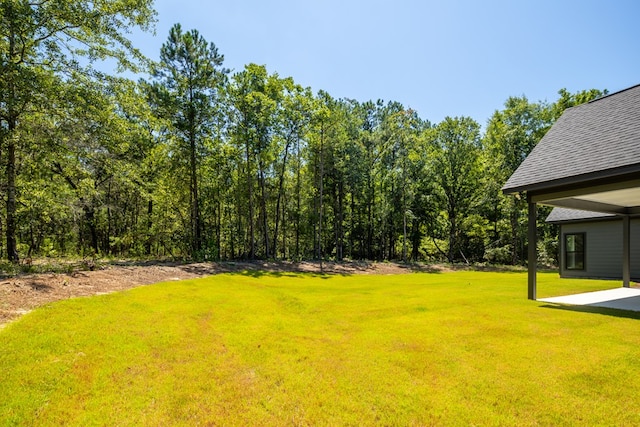 1936 Lee Rd Unit 2087, Salem, AL 36874 - photo 12