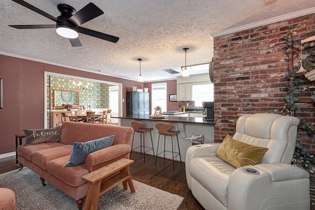 living room with dark wood-type flooring, a textured ceiling, and crown molding
