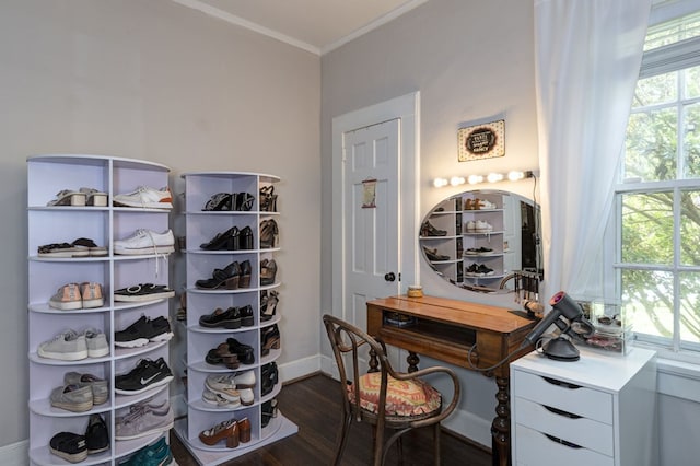 spacious closet featuring dark wood-style flooring
