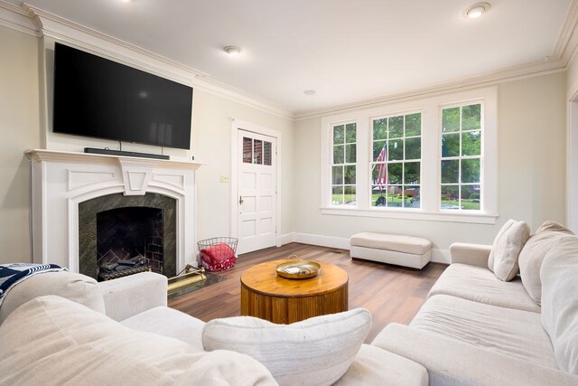 living room with wood finished floors, baseboards, a fireplace, and ornamental molding