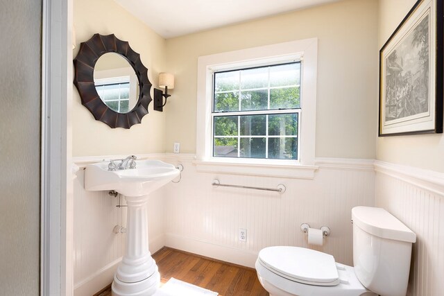bathroom featuring wood finished floors, toilet, and wainscoting