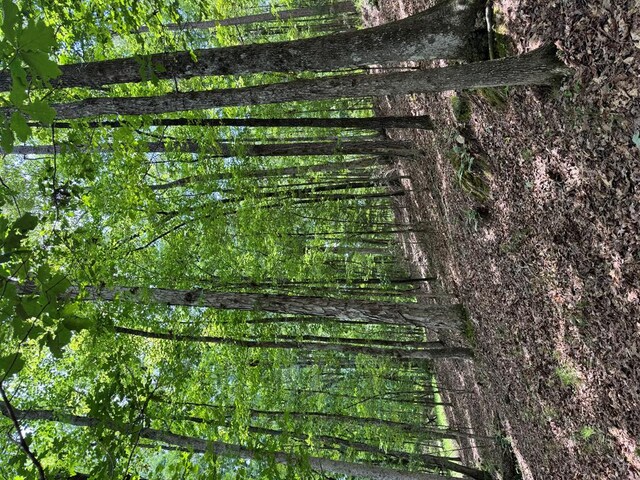 LOT159PH1SEC2 Piedmont Lake Rd, Pine Mountain, GA 31822 - photo 9