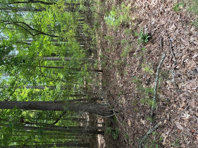 LOT159PH1SEC2 Piedmont Lake Rd, Pine Mountain, GA 31822 - photo 10