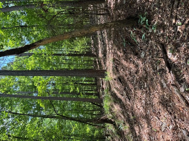 LOT159PH1SEC2 Piedmont Lake Rd, Pine Mountain, GA 31822 - photo 6