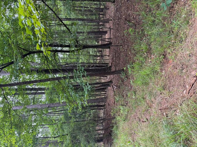 LOT159PH1SEC2 Piedmont Lake Rd, Pine Mountain, GA 31822 - photo 3