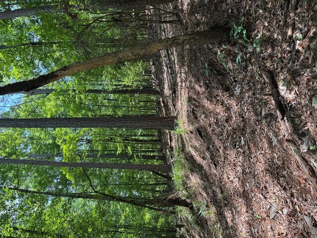 LOT159PH1SEC2 Piedmont Lake Rd, Pine Mountain, GA 31822 - photo 7