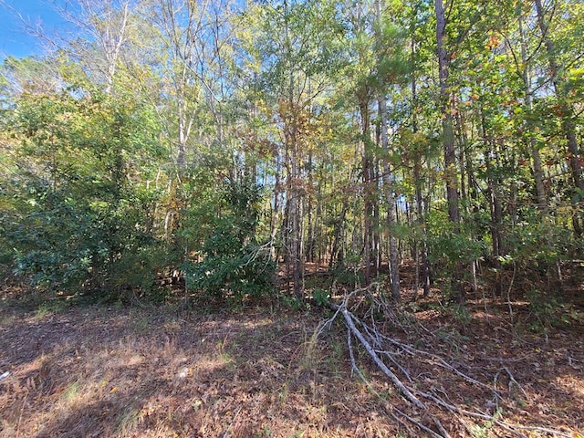 Listing photo 3 for LOT90E Lakeshore Dr, Waverly Hall GA 31831