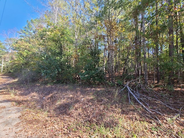 LOT90E Lakeshore Dr, Waverly Hall GA, 31831 land for sale