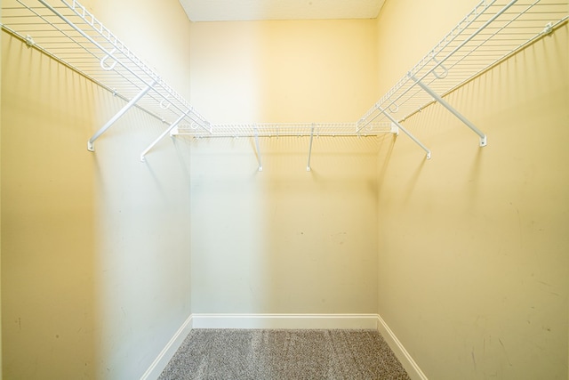 spacious closet with carpet flooring