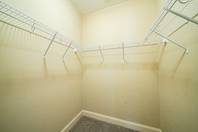 spacious closet with carpet