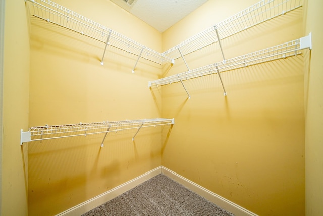 spacious closet with carpet