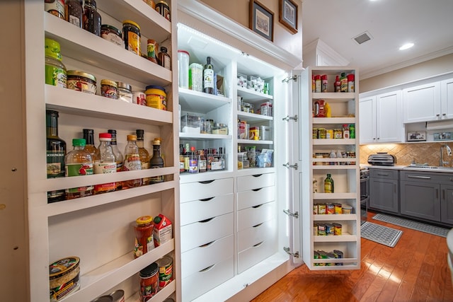 pantry featuring sink