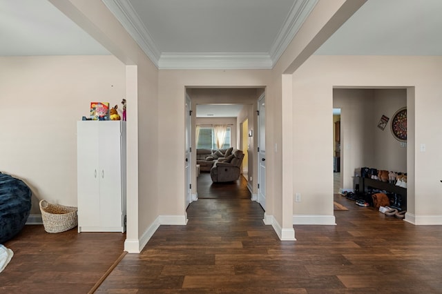 hallway featuring crown molding and dark hardwood / wood-style floors