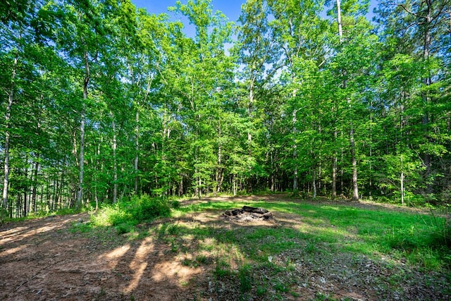 153 N Whatley Rd, Lagrange, GA 30240 - view of wooded area