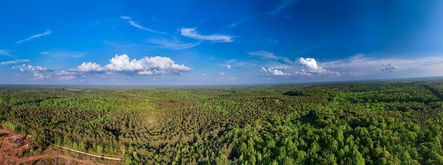 153 N Whatley Rd, Lagrange, GA 30240 - aerial view of a forest