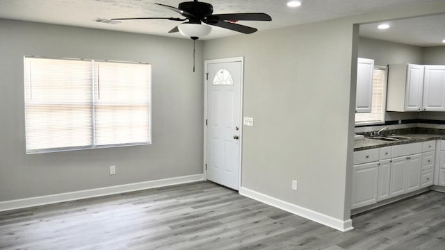 2830 N Lumpkin Rd, Columbus, GA 31903 - entrance foyer with ceiling fan, light wood-style flooring, baseboards, plenty of natural light, and recessed lighting