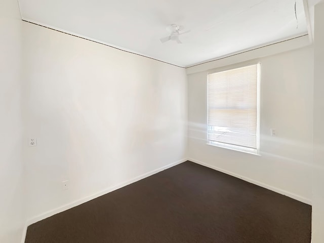 unfurnished room featuring carpet