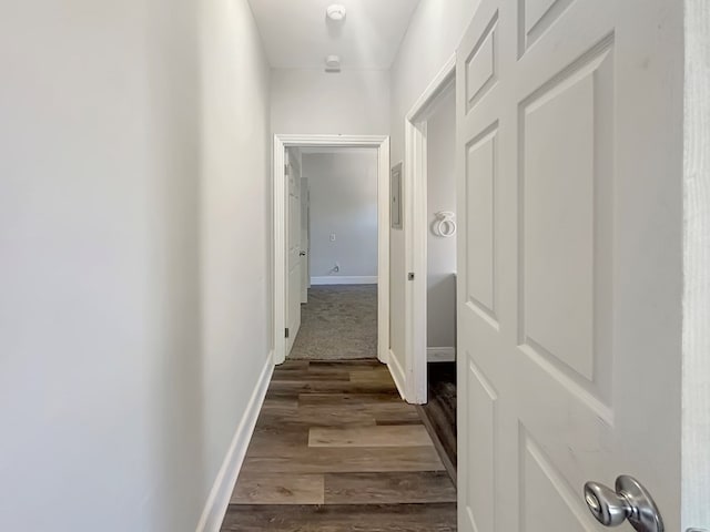 hallway with dark wood-type flooring