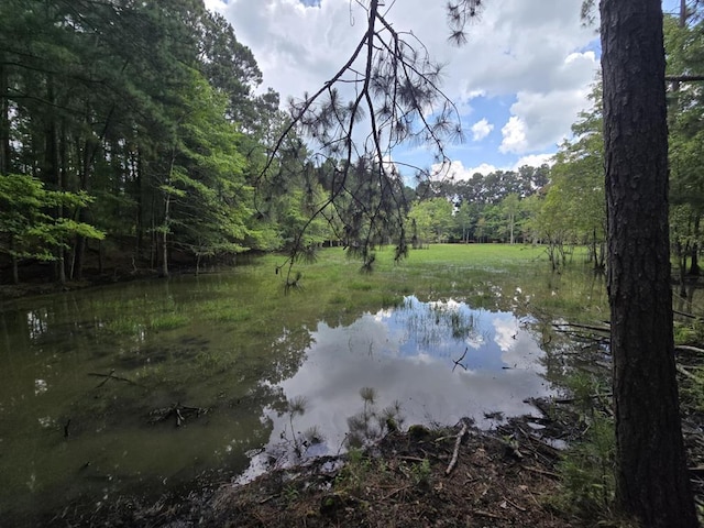 3599 Ga Highway 0127, Mauk, GA 31058 - photo 34