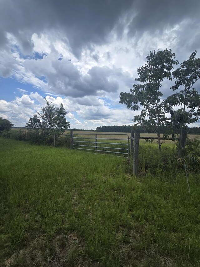 3599 Ga Highway 0127, Mauk, GA 31058 - photo 32