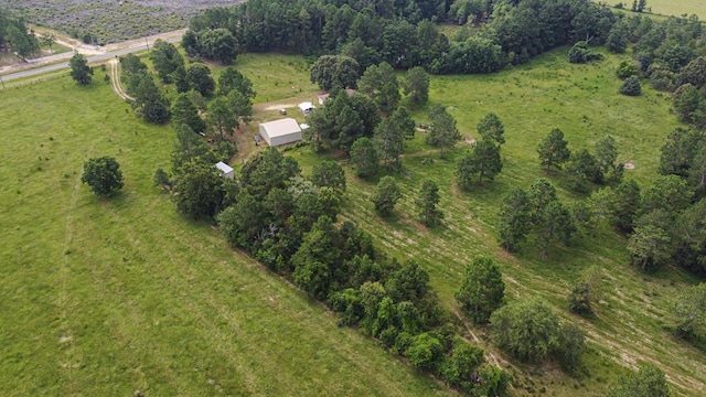 3599 Ga Highway 0127, Mauk, GA 31058 - photo 2