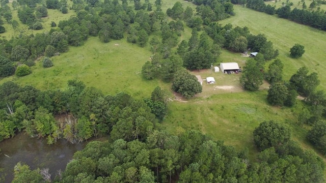 3599 Ga Highway 0127, Mauk, GA 31058 - photo 1