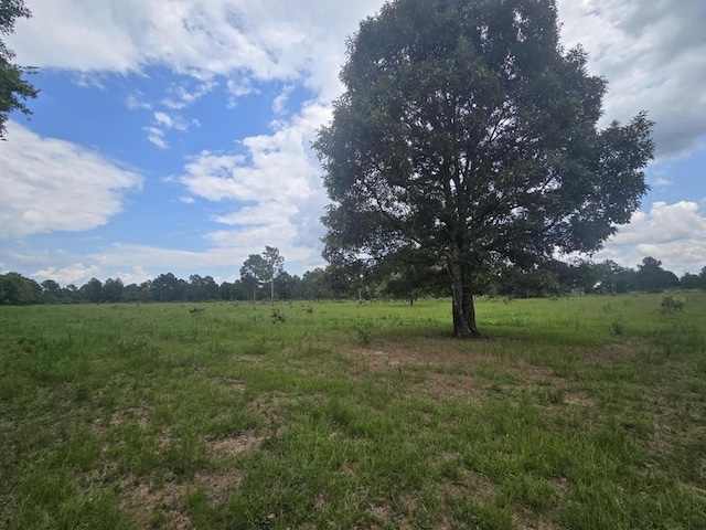 3599 Ga Highway 0127, Mauk, GA 31058 - photo 33