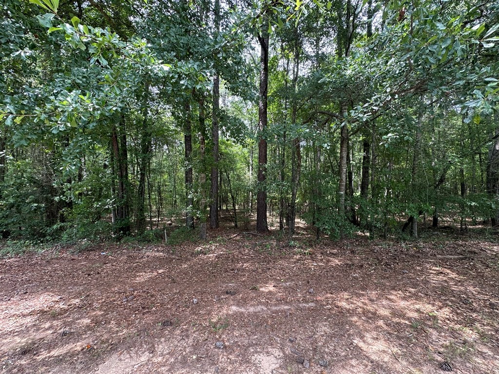 9405 Chattsworth Rd, Midland, GA 31820
