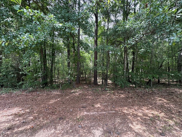 9405 Chattsworth Rd, Midland, GA 31820