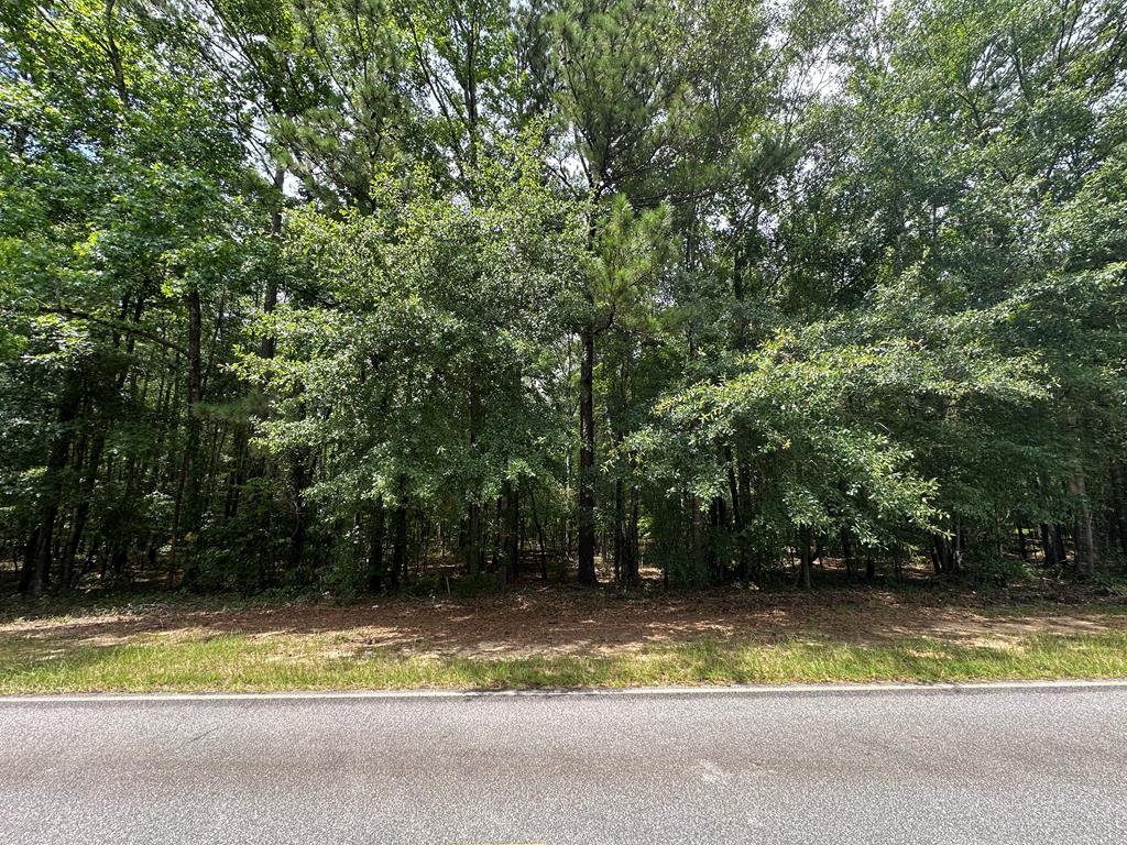 9405 Chattsworth Rd, Midland, GA 31820