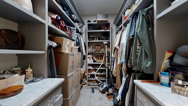 spacious closet with light carpet