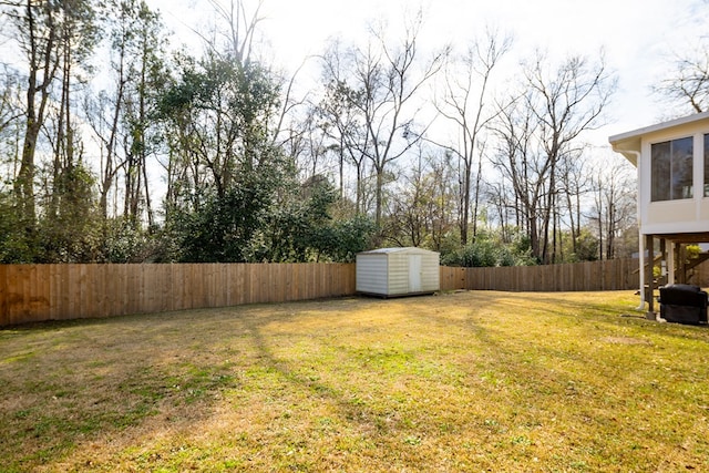 view of yard with a storage unit