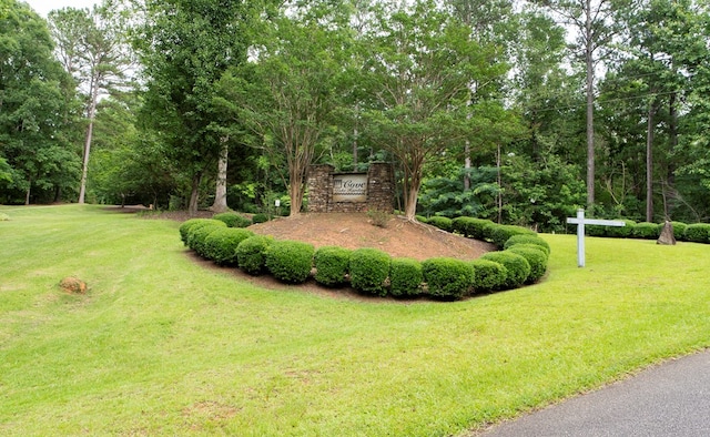 39 Cove Hollow Rd, Fortson, GA 31808 - photo 28