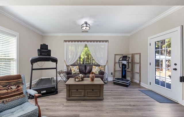 workout room with light hardwood / wood-style flooring and ornamental molding