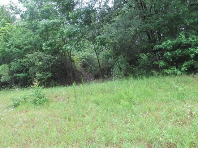 911 Red Fox Ct, Cataula GA, 31804 land for sale