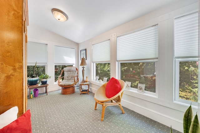 sunroom with lofted ceiling