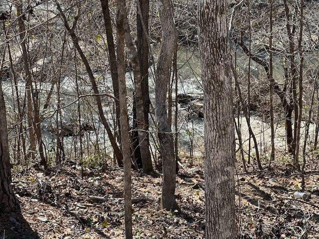 view of local wilderness