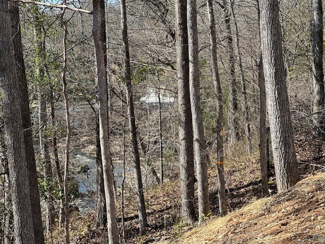 view of local wilderness featuring a wooded view