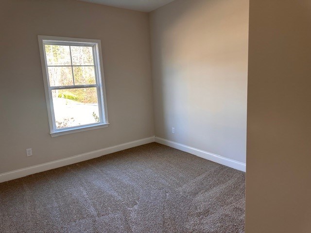 unfurnished room with baseboards and carpet floors