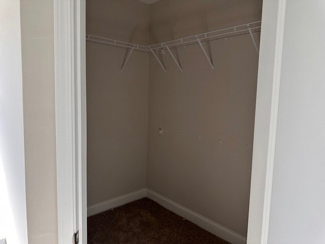 spacious closet featuring dark colored carpet