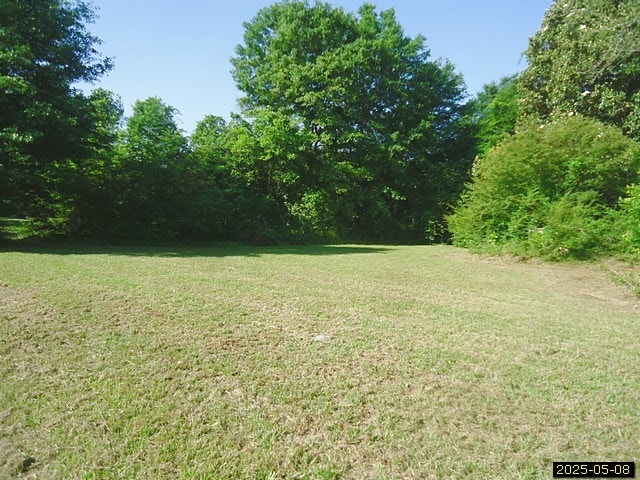 1469 Wall St, Richland, GA 31825 - view of green lawn